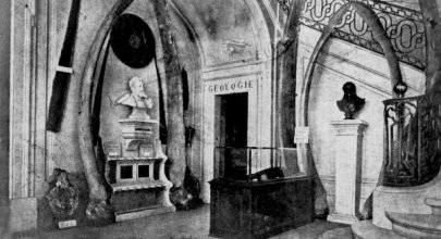 L’entrée du Muséum d’Histoire Naturelle du Havre avant la guerre